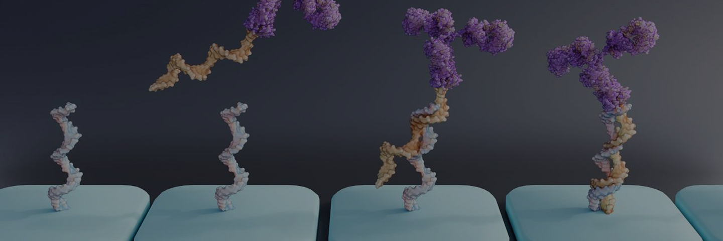 One-Stop AOC CMC Banner - Integrated Antibody-Oligonucleotide Conjugate Services