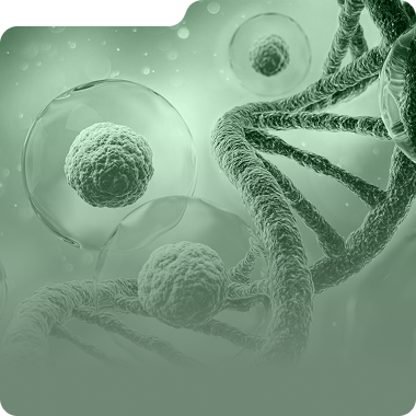 Cell Line Development Solutions – 10 Weeks from DNA to Top 6 Clones