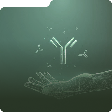 Antibody and Protein Drug DNA to IND Solutions – 4 Months to Tox Drug Substance
