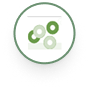 ProBio Stable Cell Line Development – Top 6 Clones Delivered in 10 Weeks