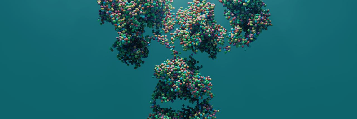 ADCC-enhanced cell line development – CHOK1-ADCC+ platform banner