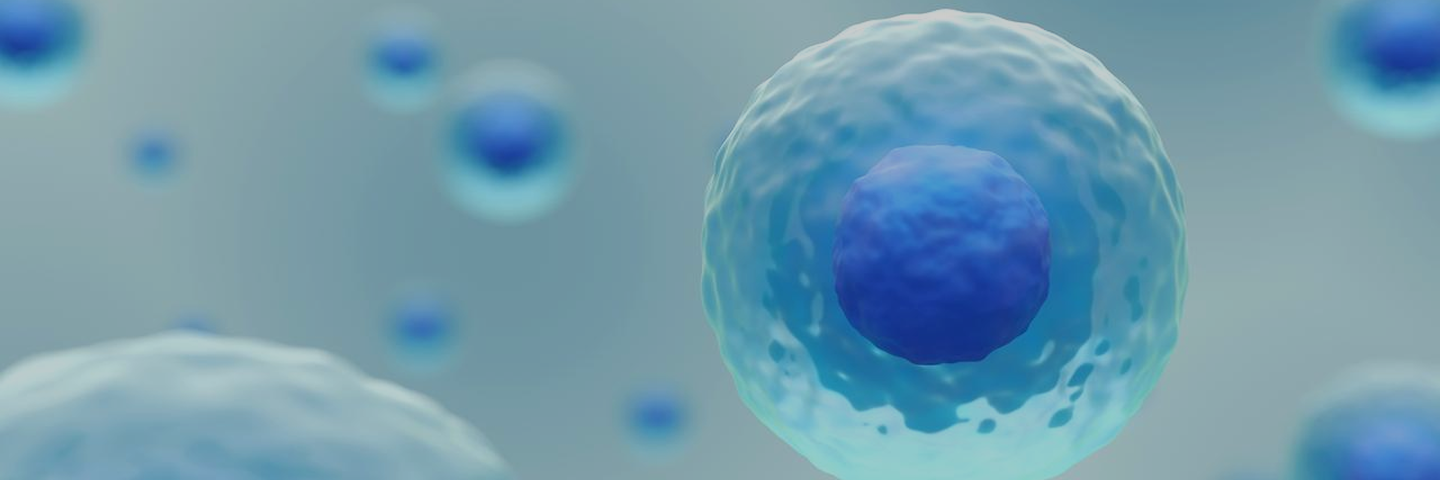 Cell line engineering and bioassay service – custom assay development banner