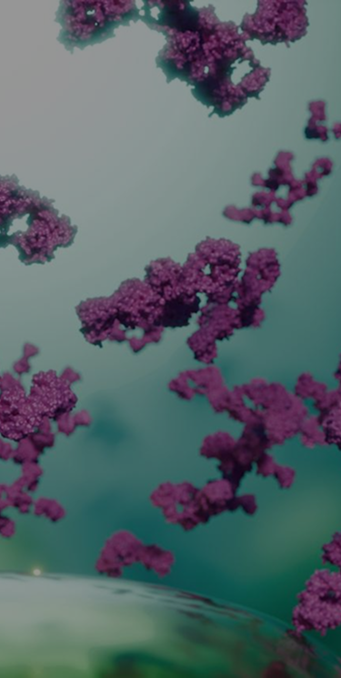 Antibodies and Proteins for Cell Therapy – Small-Scale GMP Production for IIT and IND Programs