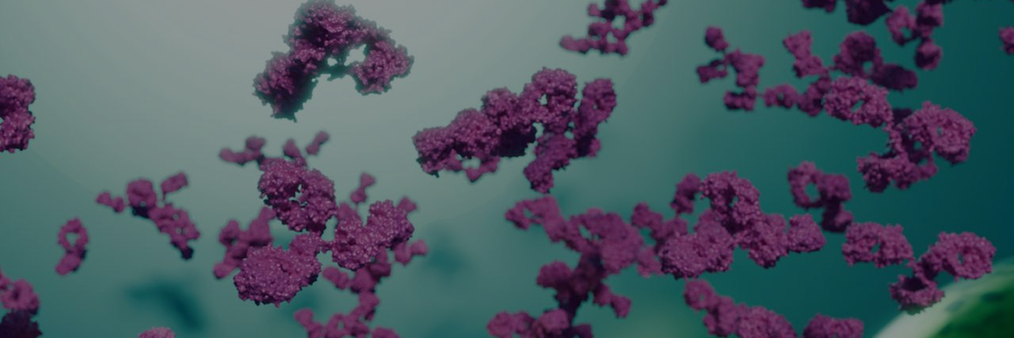 Antibodies and Proteins for Cell Therapy – CMC Development and GMP Manufacturing Services