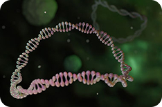 ProBio Plasmid Services – GMP manufacturing for cell and gene therapy