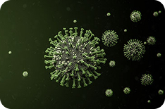 ProBio Viral Vector Services – End-to-end development and GMP manufacturing