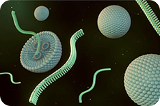 Integrated mRNA development and manufacturing solutions