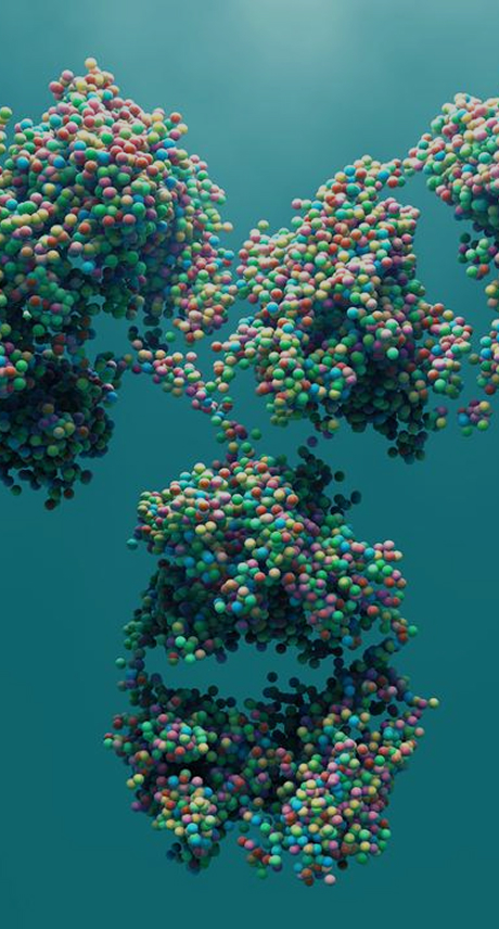ProBio ADCC-enhanced CHO platform for afucosylated antibodies – mobile banner