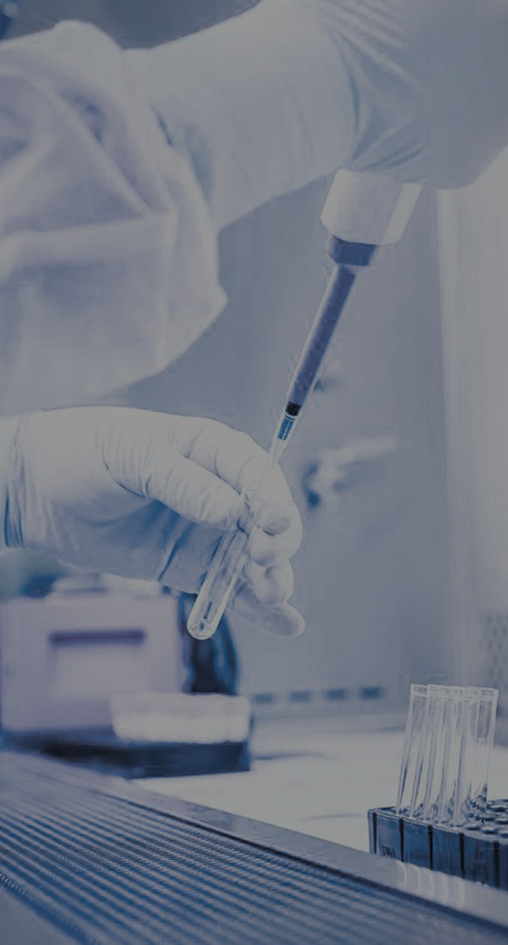 Bioanalytical Development – Protein Characterization and Bioassay Services for IND and BLA