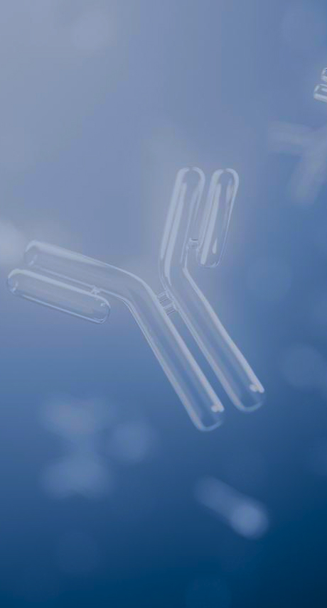 fast-sample-preparation