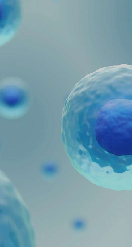 ProBio cell line engineering for bioassay development – mobile banner