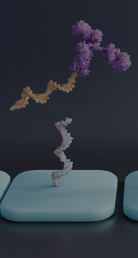 One-Stop AOC CMC Banner - Integrated Antibody-Oligonucleotide Conjugate Services