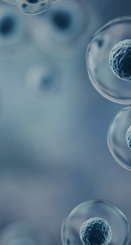 stable-cell-line-development