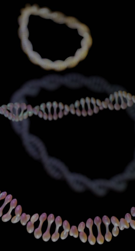 Plasmid CMC and GMP Manufacturing for Lentiviral Vectors – From Cell Banking to IND Documentation – ProBio