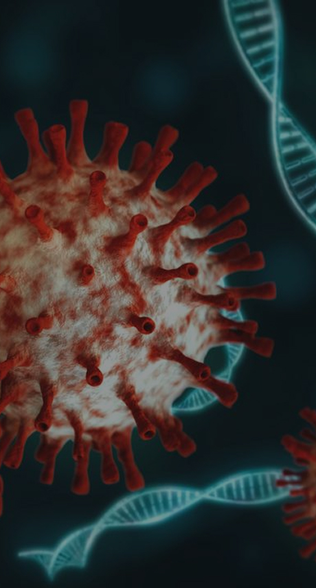 Process Characterization and Validation for Lentiviral Vector Commercial Manufacturing – ProBio