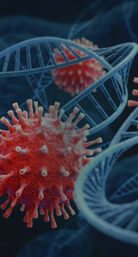 Lentiviral Vector (LVV) Plasmid Services
