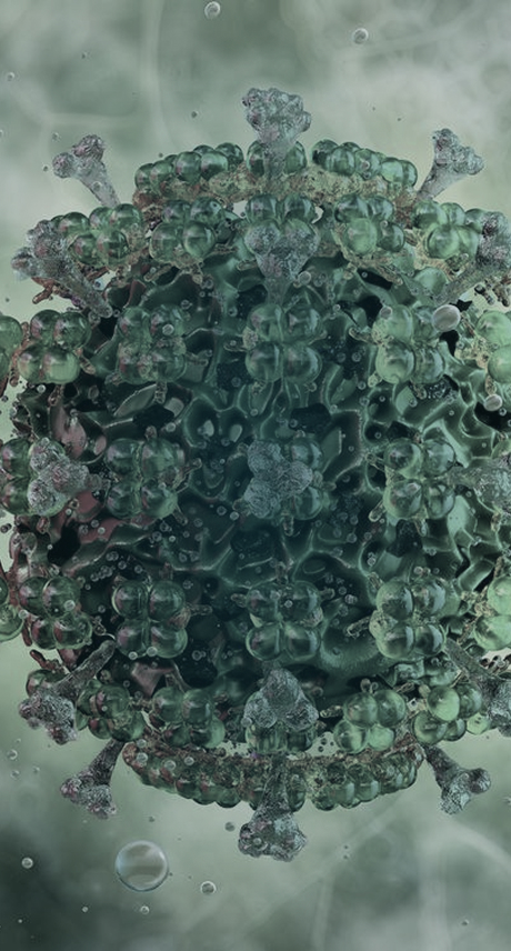 Lentiviral Vector (LVV) Development Services