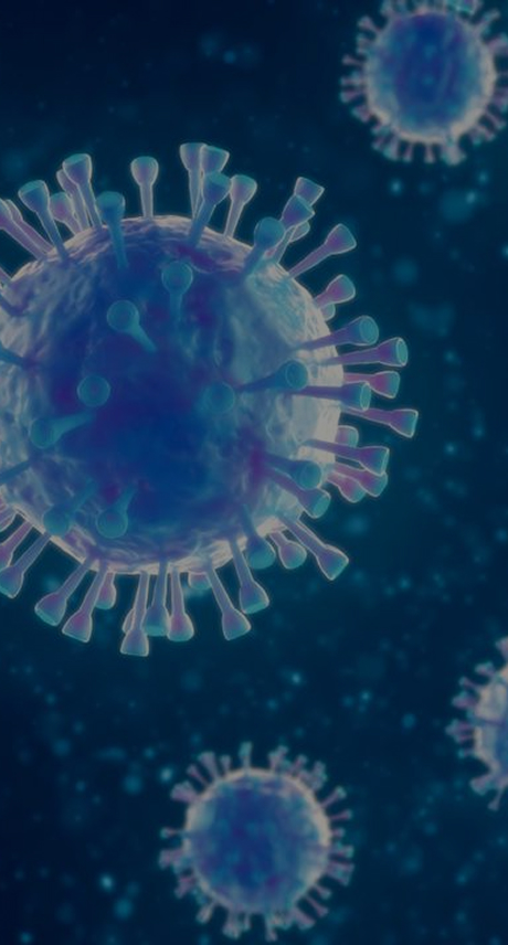 Integrated LVV One-Stop Services for Cell and Gene Therapy – ProBio CDMO