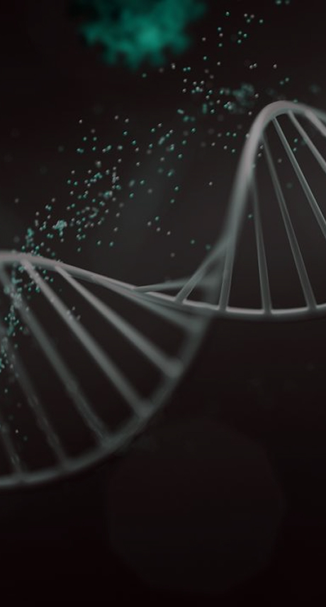LVV Packaging Test – Rapid Lentiviral Vector Feasibility in 3 to 5 Weeks