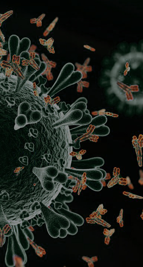 One-Stop AAV Drug Discovery Service Banner - ProBio