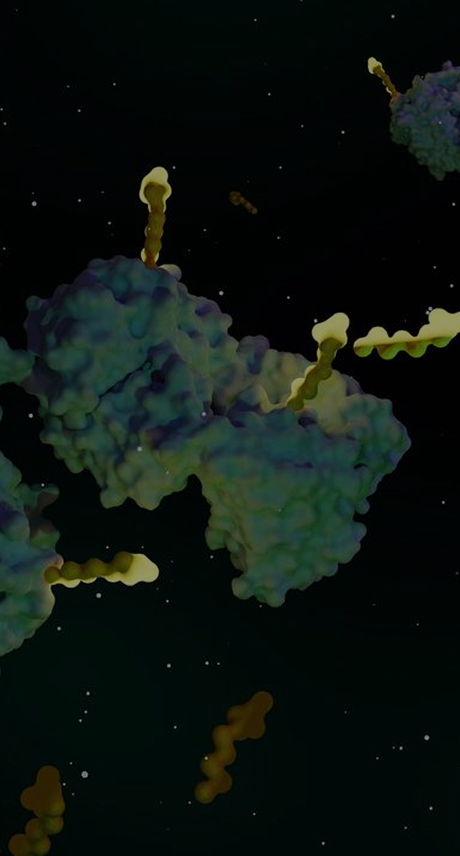 ADC Bioassay Service Banner - ProBio