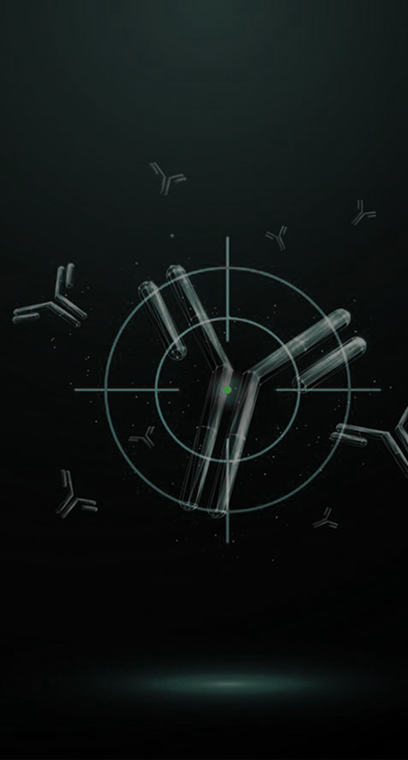 Anti-Idiotype Antibody Development Banner - PK and ADA Reagents