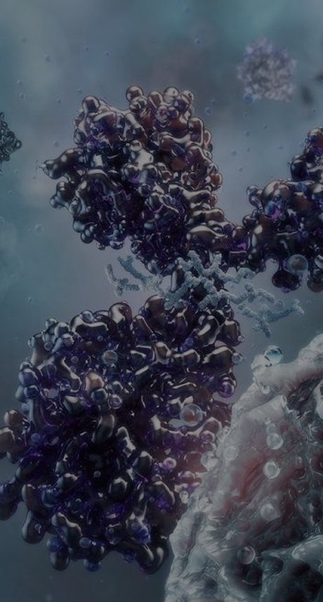 ProBio Antibody Affinity Maturation – AI/ML-guided platform banner for lead optimization and 10-fold affinity improvement