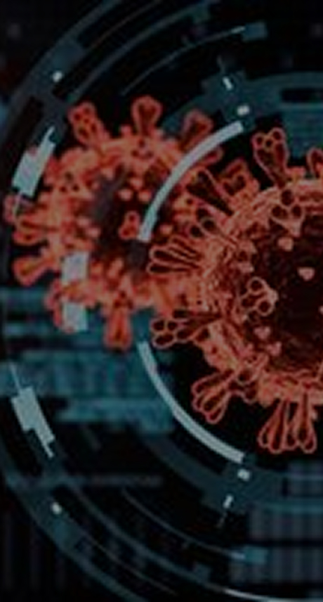 In Vivo Efficacy Study Banner – Oncology and Immunotherapy Models