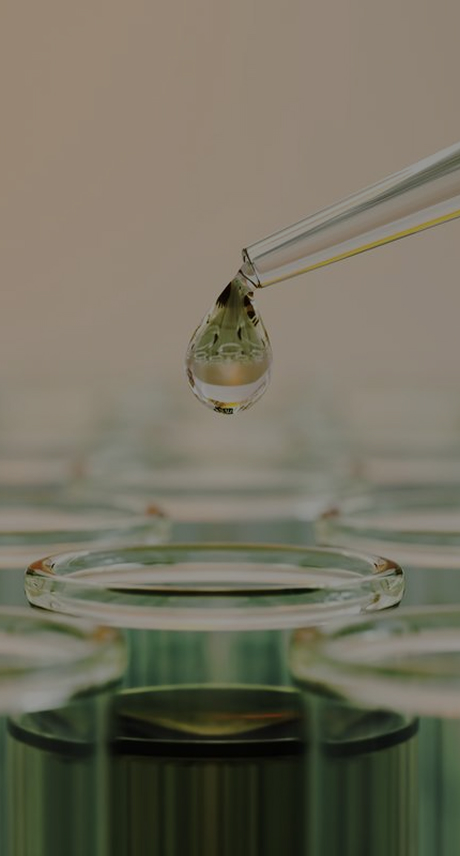 In Vivo Pharmacokinetics Studies Banner – ProBio PK Services for Biologics