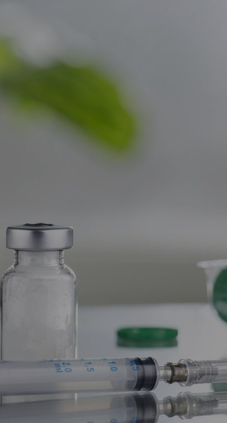 In Vivo Toxicology and Safety Pharmacology Banner – Preclinical Services
