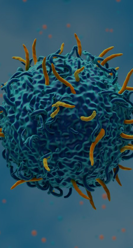 CAR-T Therapy Discovery Service Banner - ProBio