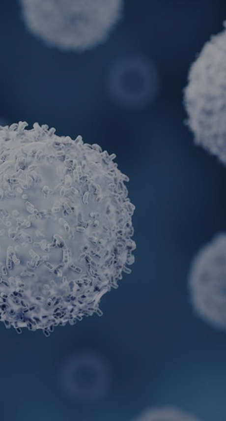 single-b-cell-screening