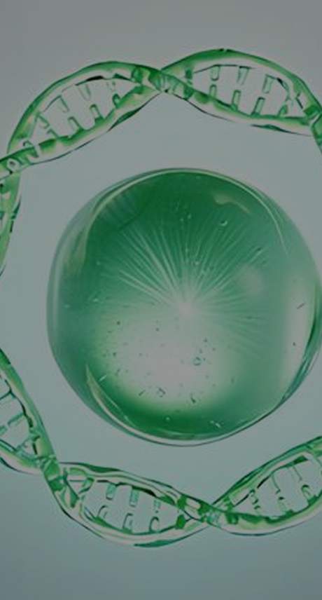 AAssistV™ Plasmids – Regulatory-Ready AAV Helper and Rep/Cap Plasmids
