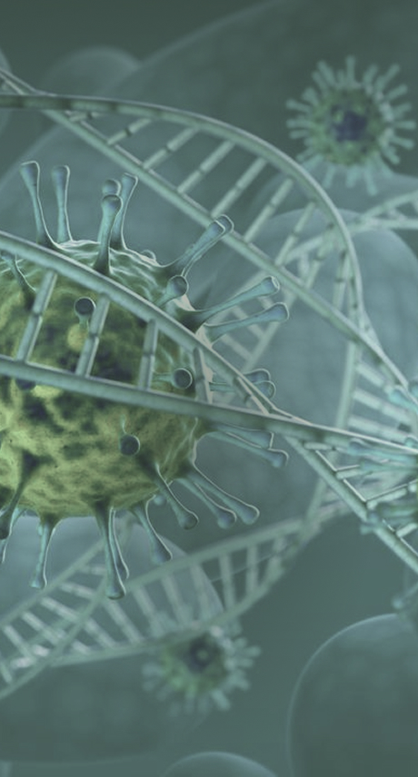Plasmid Services for Adeno-Associated Viral Vector (AAV)