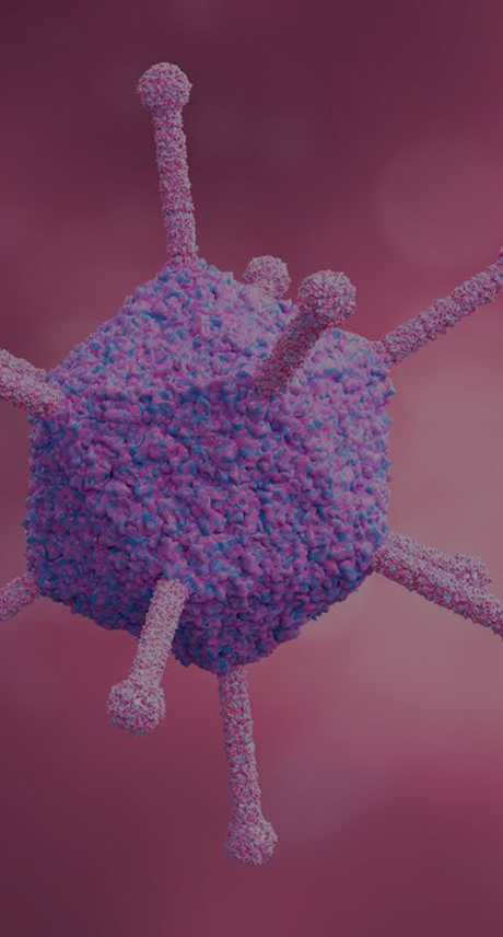 AAV IND-enabling CMC services from plasmid to GMP - ProBio CDMO