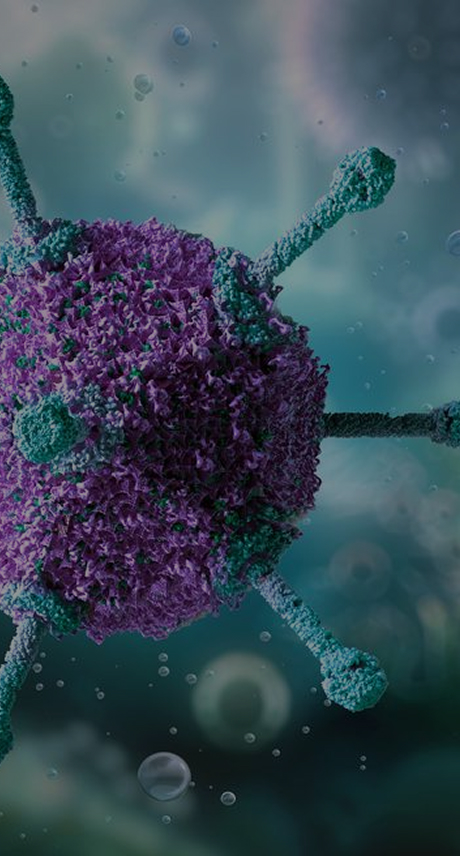 AAV packaging test and ProAAV manufacturing for non-clinical studies - ProBio CDMO