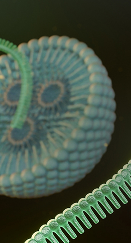 ProBio mRNA Development banner