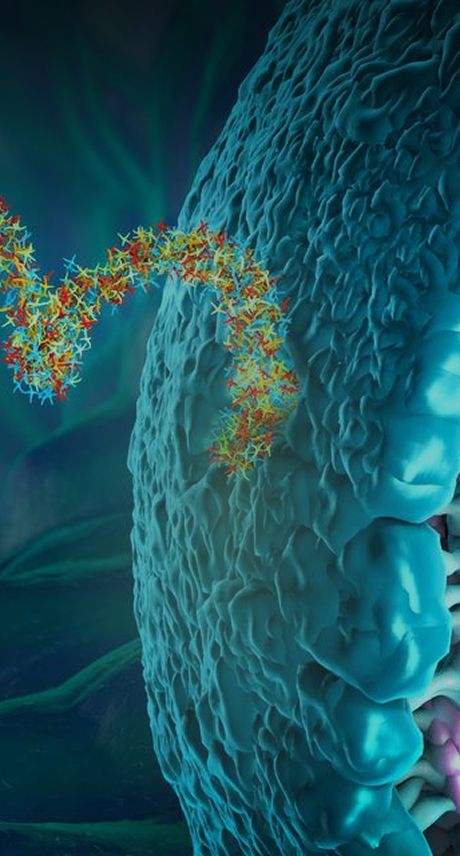 Accelerate IND Submission with mRNA-LNP IND-Enabling CMC Services - ProBio