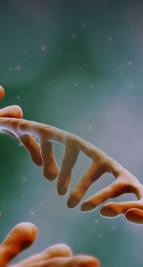 cGMP mRNA-LNP Manufacturing Services for Clinical and Commercial Production - ProBio
