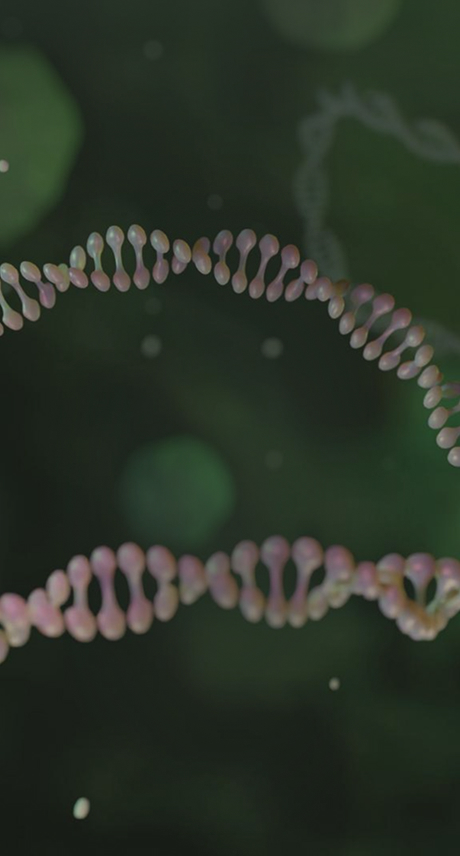 mRNA Plasmid Services