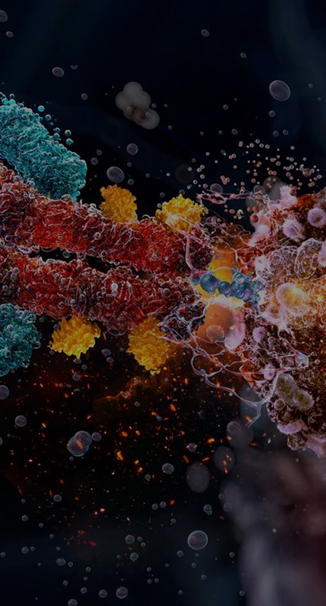 ADC antibody-drug conjugate discovery and development platform