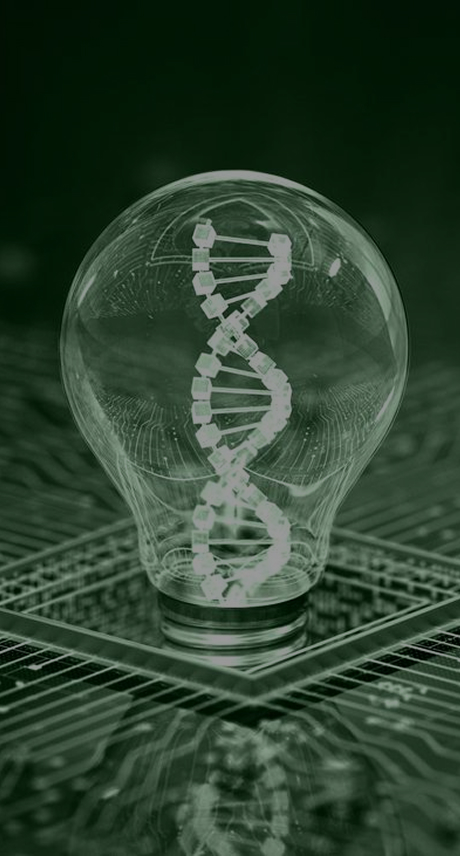 ProBio GMP plasmid manufacturing solutions banner - End-to-end plasmid DNA production for gene therapy, mRNA therapeutics, and DNA vaccines