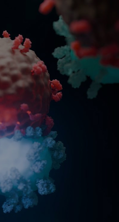 Cell therapy and lentiviral vector LVV CDMO solutions