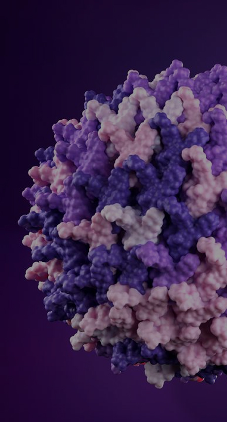 AAV gene therapy development and GMP manufacturing services