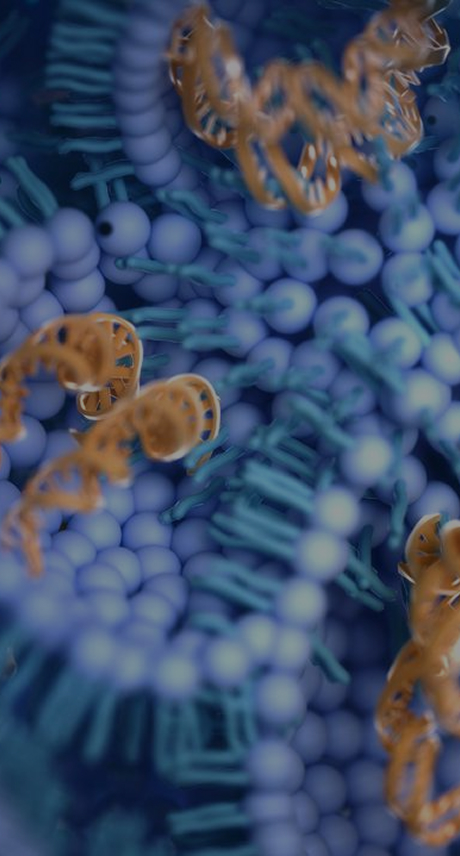 mRNA vaccine development and manufacturing solutions from ProBio