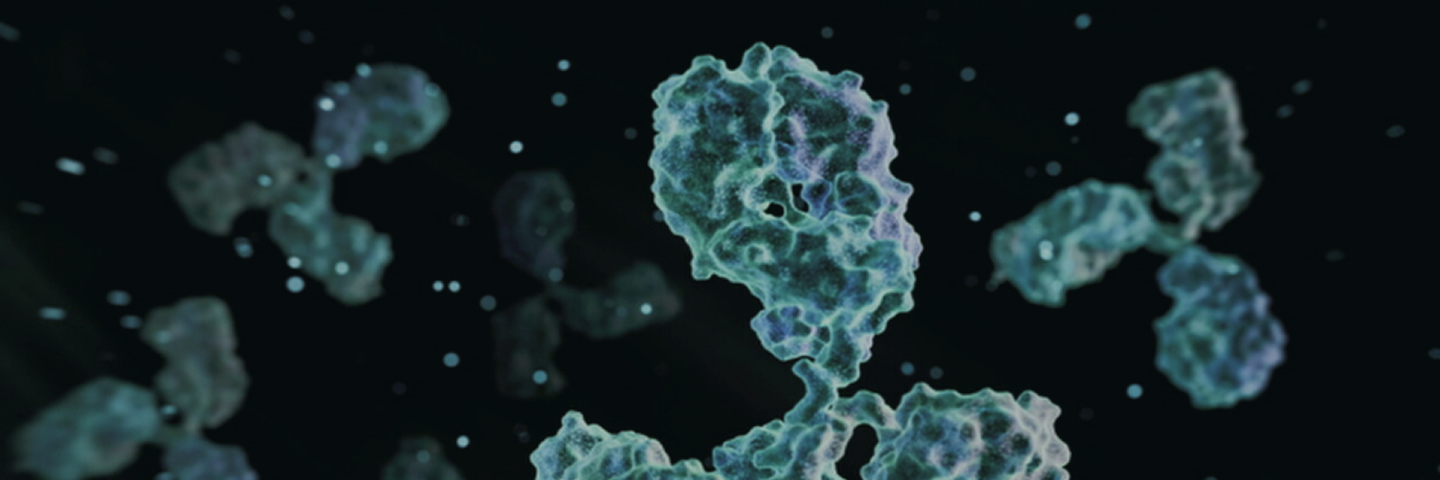 ProBio Antibody Lead Generation – Streamline Target to Clinical Candidate Discovery