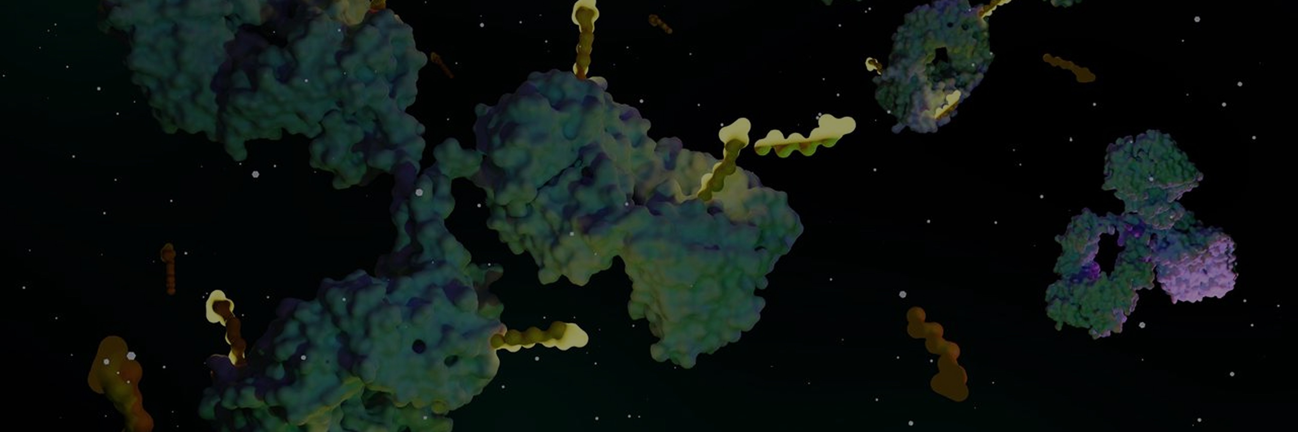 ADC Bioassay Service Banner - ProBio