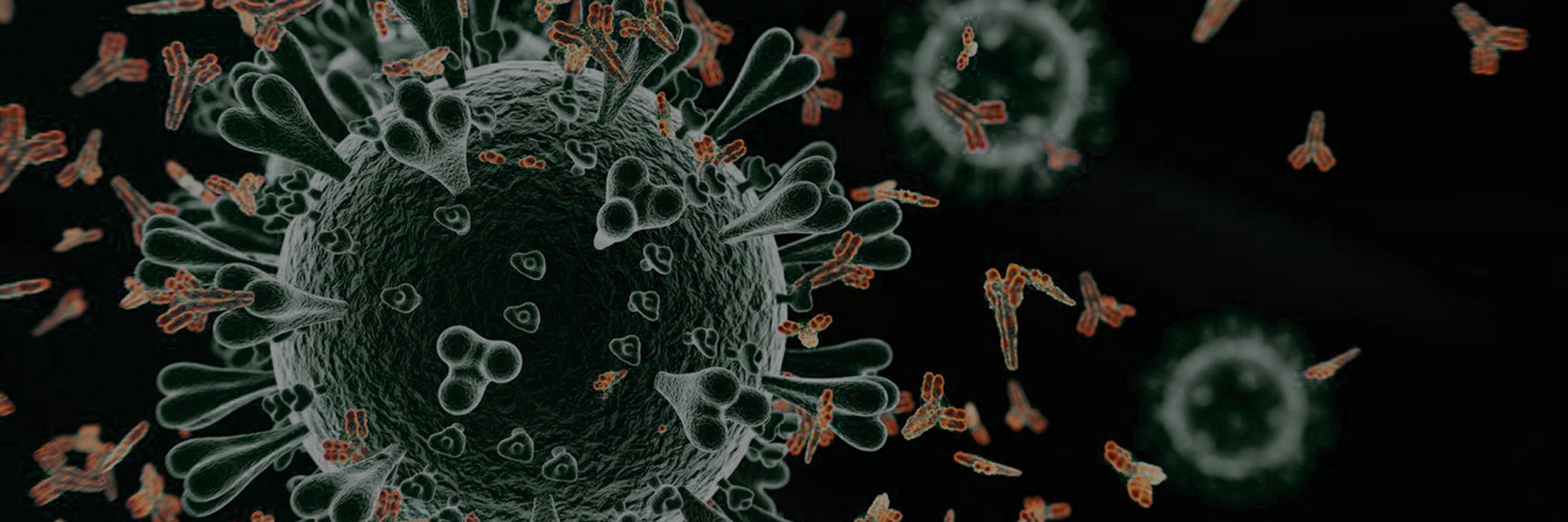 One-Stop AAV Drug Discovery Service Banner - ProBio