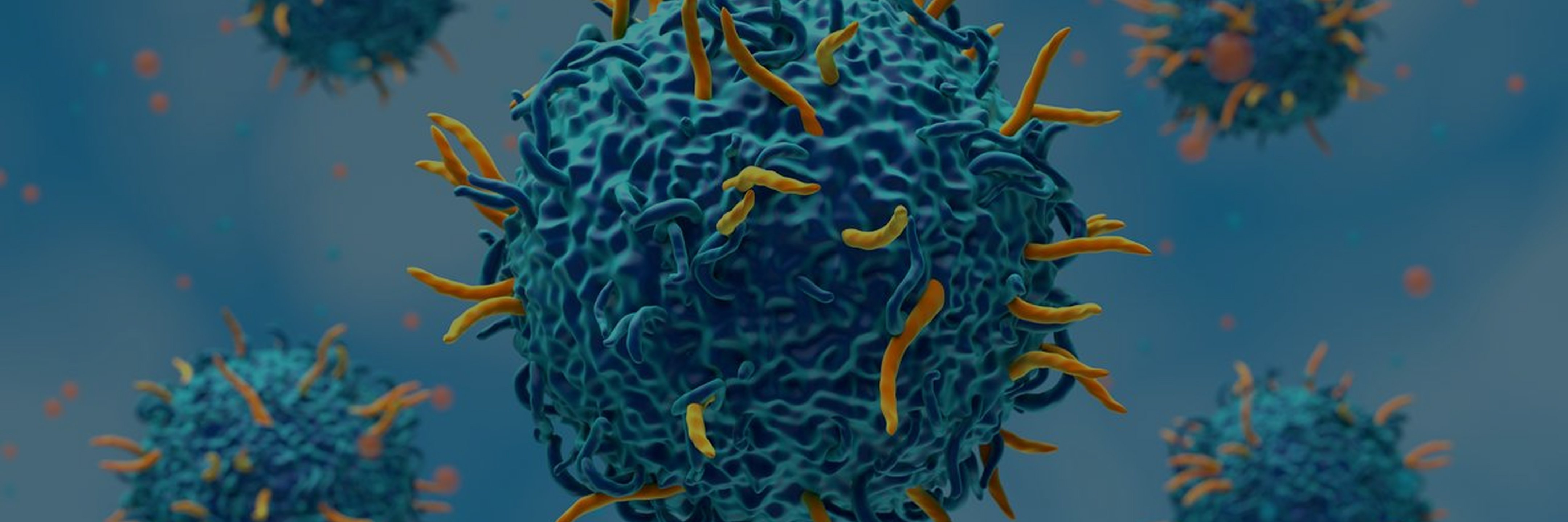 CAR-T Therapy Discovery Service Banner - ProBio