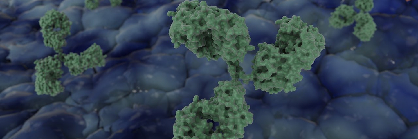 ProBio Antibody Humanization Service – fast, high-success humanization banner with no affinity loss guarantee